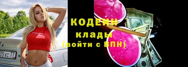 спиды Ельня