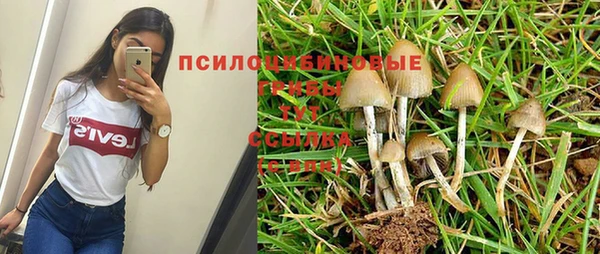 ALPHA-PVP Елабуга