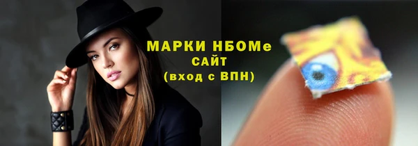 спиды Ельня