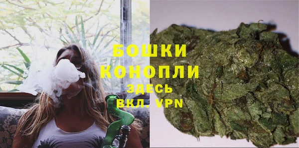 спиды Ельня