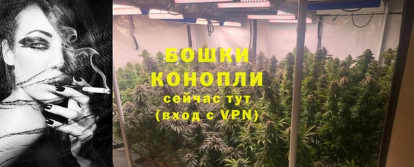 PSILOCYBIN Елизово