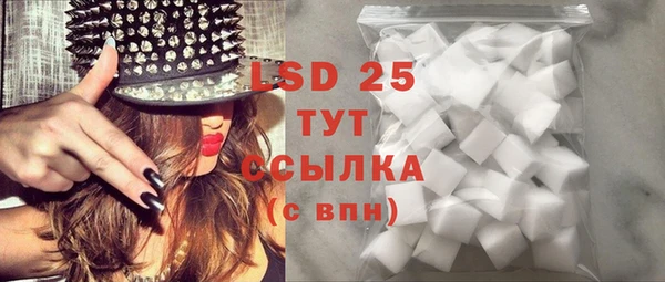 спиды Ельня