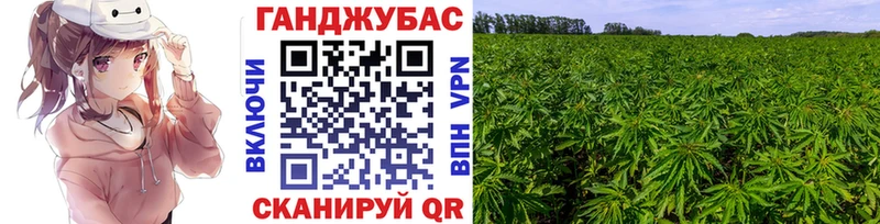 Шишки марихуана Ganja  кракен как войти  Бородино  где продают  